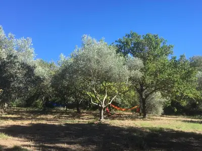 a hammock in between two trees in a field at Ecolodge Au fil de l'eau, avec piscine intérieure et parc arboré in Lagnes