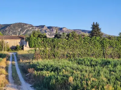 a dirt road in a field with mountains in the background at Chambre 3 personnes avec salle de bain dans mas du Lubéron in Robion en Luberon