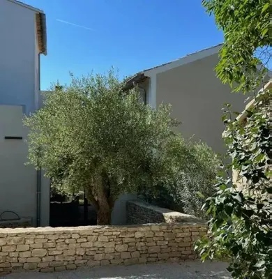 a tree in front of a building with a stone wall at Villa luxueuse à Ménerbes + piscine in Ménerbes