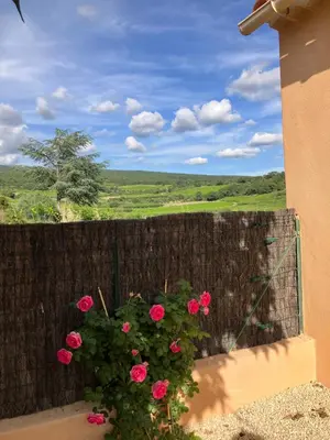 a fence with a bunch of pink roses at La maison des cerisiers in Bédoin