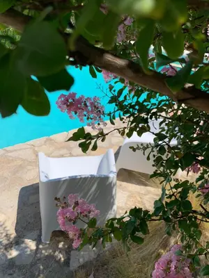 a white chair sitting under a tree with pink flowers at LE MAS DE LA TERRE - Chambres d'hôtes in LʼIsle-sur-la-Sorgue