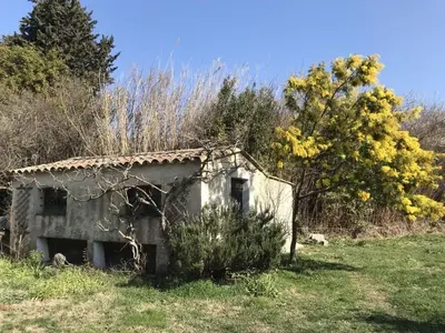 an old house sitting in the middle of a field at Oud Wijnhuis Mas in Sénas