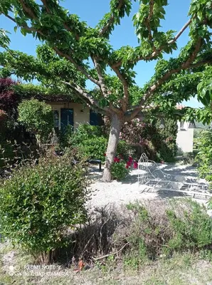 a tree in front of a house with flowers at Le Cabanon d'Amandine et Gabriel in Blauvac