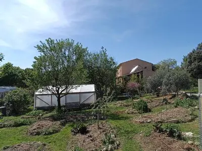 a garden with a tree and a building at Villa Reillanne Luberon in Reillanne