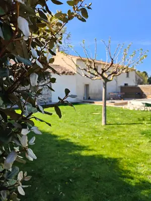 a bird perched on top of a tree in a yard at Gîte entier en Campagne in Pernes-les-Fontaines