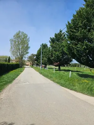 an empty road in a park with trees and grass at Gîte entier en Campagne in Pernes-les-Fontaines