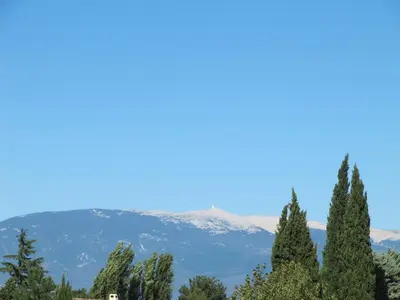 a group of trees with mountains in the background at Clos Sainte-Garde in Saint-Didier
