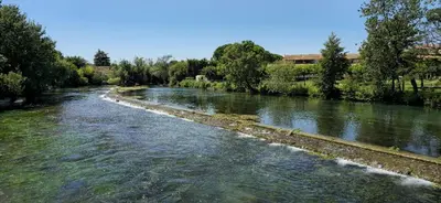 a river with trees on the side of it at La terrasse du pêcheur in LʼIsle-sur-la-Sorgue