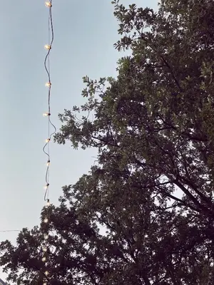 a kite hanging from a tree in the sky at Appartement à la campagne in LʼIsle-sur-la-Sorgue