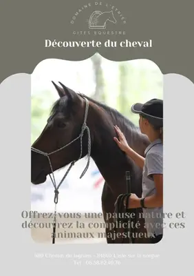 a young boy is standing next to a horse at Appartement à la campagne in LʼIsle-sur-la-Sorgue