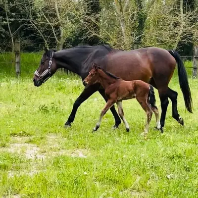 Appartement à la campagne