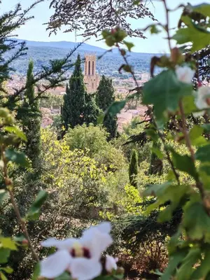 a view of the desert from the trees at chambre d'hote de charme 