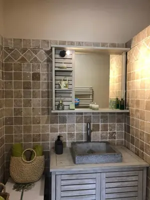 a bathroom with a sink and a mirror at Parenthèse caumontoise . in Caumont-sur-Durance