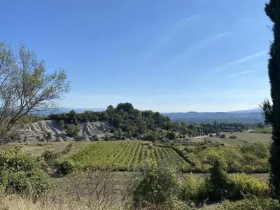 a view of a vineyard in a field at Camping maeva Escapades Le Domaine des Chênes Blancs in Croagnes