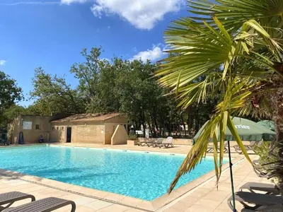 a large swimming pool with a palm tree next to it at Camping maeva Escapades Le Domaine des Chênes Blancs in Croagnes