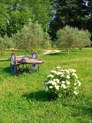 a wooden bench sitting in a field with flowers at Roulotte Karlotte in Pernes-les-Fontaines