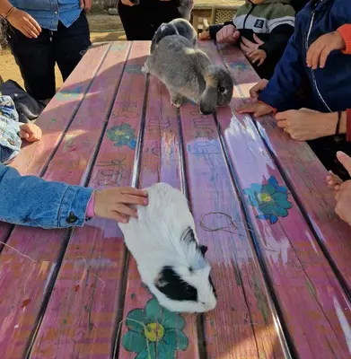 a person petting a rat on a picnic table at nuitée à la ferme in Jouques