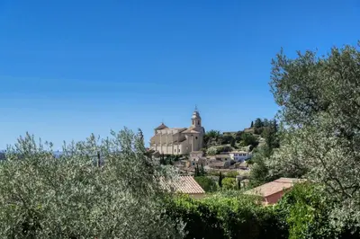 a castle on top of a hill with trees at Villa jeanne avec piscine Chauffée à Bedoin in Bédoin