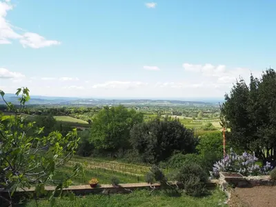 a view of the countryside from a hill with flowers at Holiday Home in Provence near Mont Ventoux in Bédoin