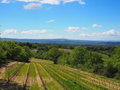 a view of a vineyard from the top of a hill at Holiday Home in Provence near Mont Ventoux in Bédoin