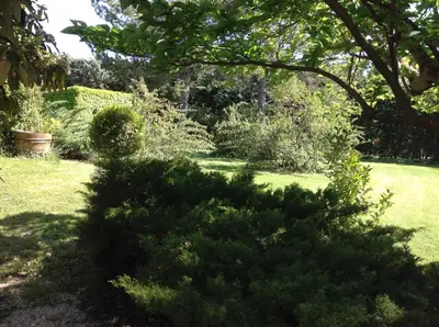 a garden with a bunch of green bushes at La Port-Gentillaise in Aix-en-Provence