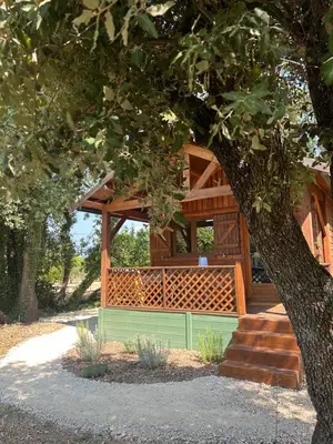 a wooden cabin with a bench and a tree at Rouleraventoux, Gîte sportif avec piscine, sauna, salle de sport, jardin in Mormoiron