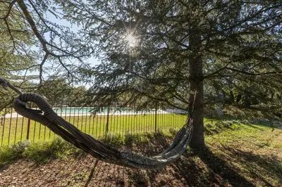 a hammock hanging from a tree next to a fence at Rouleraventoux, Gîte sportif avec piscine, sauna, salle de sport, jardin in Mormoiron