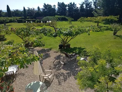 a garden with chairs and an umbrella and trees at Gîte la Cigale en pleine campagne in Carpentras