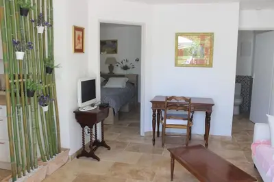 a living room with a bed and a desk with a television at Gîte la Cigale en pleine campagne in Carpentras