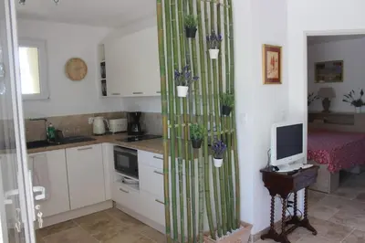 a kitchen with a table with potted plants on the wall at Gîte la Cigale en pleine campagne in Carpentras