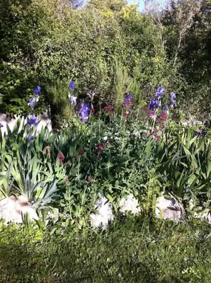 a garden filled with purple and pink flowers at Les Merles : joli studio dans la campagne Aixoise. in Venelles