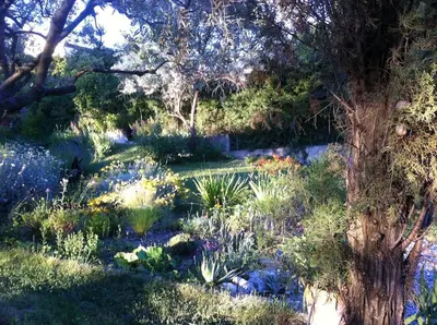 a garden with flowers and plants in the grass at Les Merles : joli studio dans la campagne Aixoise. in Venelles