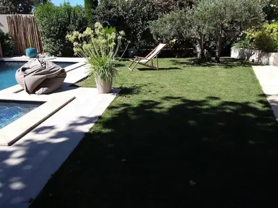 a yard with a chair and a plant next to a pool at Charmant T1 calme et reposant in Saint-Andiol