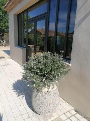 a large planter with flowers in it in front of a building at Charmant T1 calme et reposant in Saint-Andiol