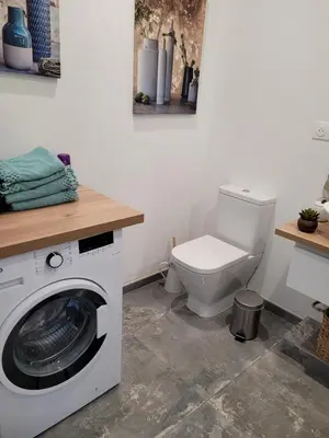a bathroom with a washing machine and a toilet at Gîte au pied du mont ventoux in Bédoin