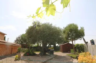 a garden with two trees and a fence at Gîte de charme avec Piscine dans le Luberon au Domaine Artemiss in Apt