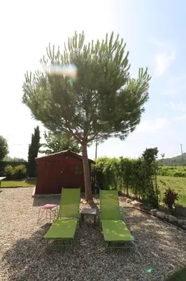 a group of green lounge chairs and a tree at Gîte de charme avec Piscine dans le Luberon au Domaine Artemiss in Apt