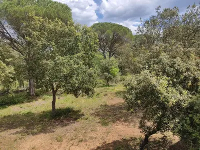 an overhead view of a field with trees at Studio dans la forêt provençale in Jouques