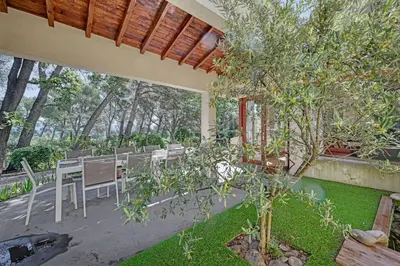 a patio with a table and chairs and a tree at Grande villa avec piscine près d'Avignon - Jonquerettes in Jonquerettes