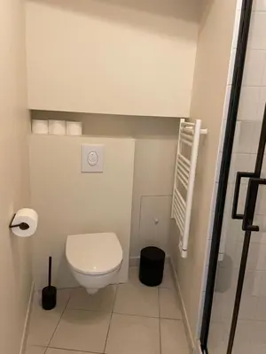 a small bathroom with a toilet and a shower at UN DOUX MOMENT in Pernes-les-Fontaines