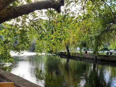 a view of a river with trees and water at Appartement Au Murmure des Eaux à Fontaine-de-Vaucluse in Fontaine-de-Vaucluse