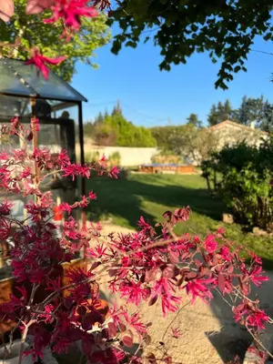 a bush with pink flowers next to a gazebo at 