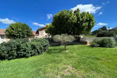 a yard with two trees and green grass at 