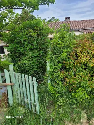 a green fence in front of a house at Maison charmante à Saint-Michel-l'Observatoire avec jardin in Saint-Michel-lʼObservatoire