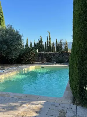 a pool of blue water in a yard with trees at Clos de l'Abba in Gordes