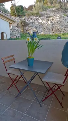 a blue table with two chairs and a potted plant at Le jardin des oliviers in Apt