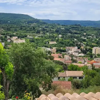 Le jardin des oliviers