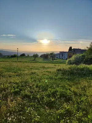 a field of grass with the sunset in the background at Apt capitale du Luberon appartement 3 chambres 4 lits in Apt