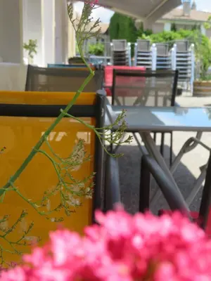 a table and chairs with pink flowers in the foreground at Auberge de la petite casserole in Revest-des-Brousses