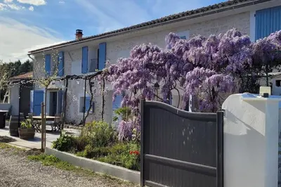 a patio with a table and chairs under a tree at Location appartement dans mas provençal in Monteux